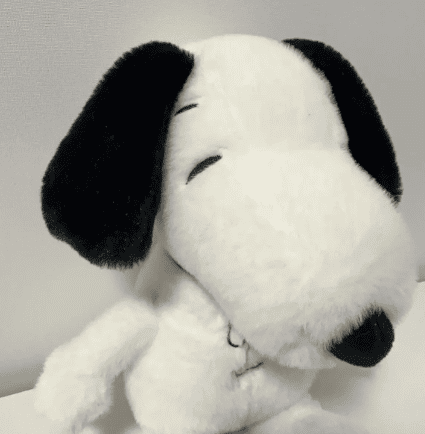 SNOOPY QUE RESPIRA - PROXIMAMENTE