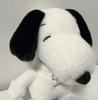 SNOOPY QUE RESPIRA - PROXIMAMENTE